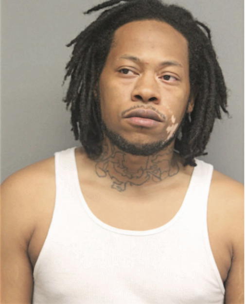 DESMOND MEADOWS, Cook County, Illinois