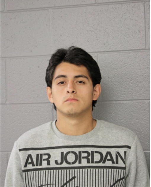 ROBERT J MENDEZ, Cook County, Illinois