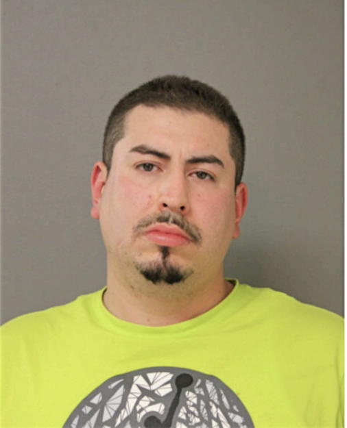 HECTOR A MENDOZA, Cook County, Illinois