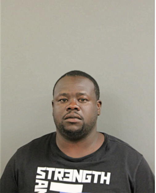 MICHAEL J PIPES, Cook County, Illinois