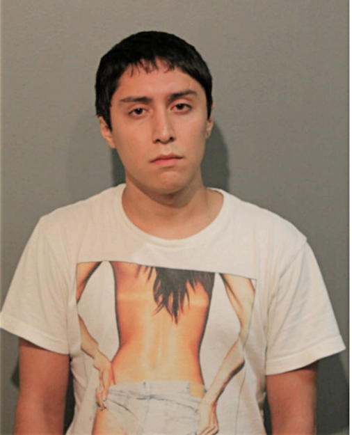 JAMES A RODRIGUEZ, Cook County, Illinois