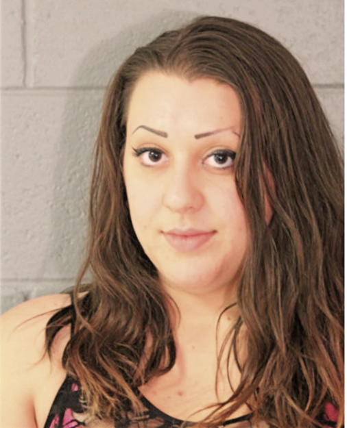 NINA A SCAVONE, Cook County, Illinois