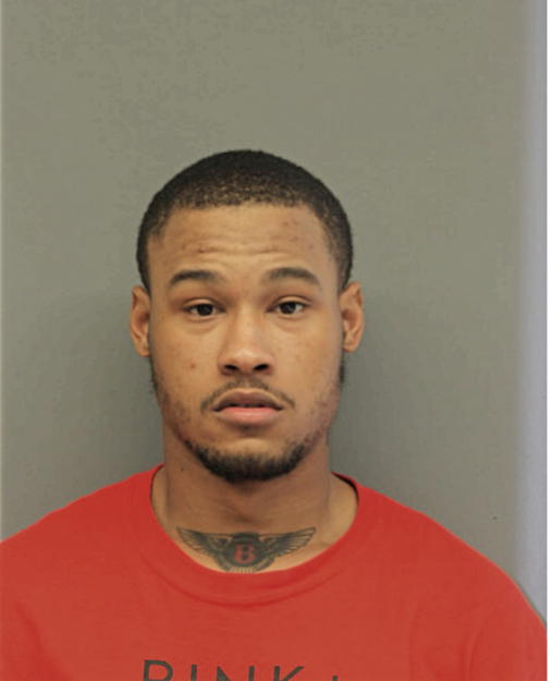LANELL L SIMMIONS, Cook County, Illinois