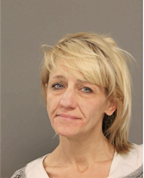 ANDREA R SOLOMON, Cook County, Illinois