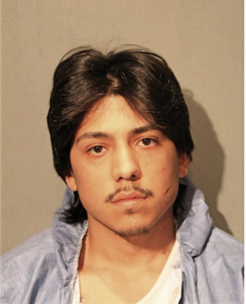 DAVID TORRES, Cook County, Illinois