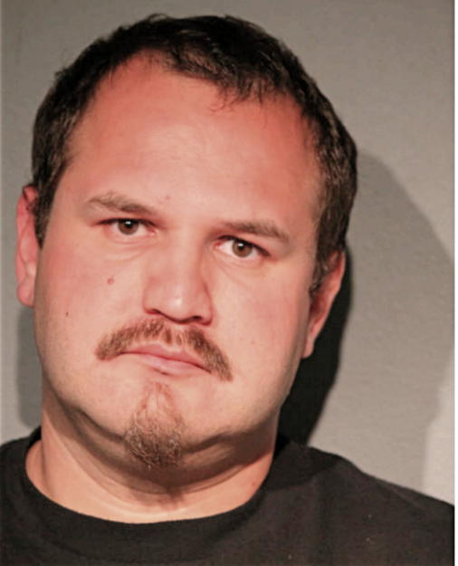 DAVID J VILLASENOR, Cook County, Illinois