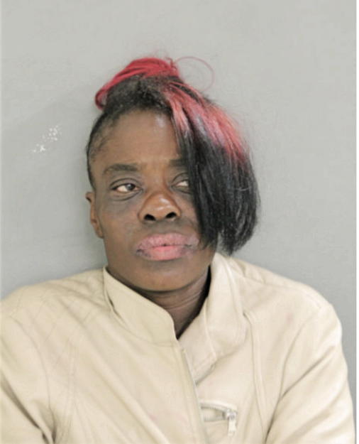 VANESSA L WASHINGTON, Cook County, Illinois