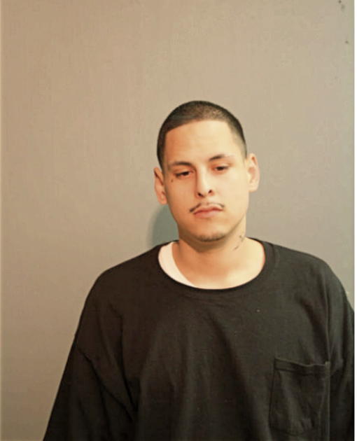 ANTHONY J ZAFIRO, Cook County, Illinois