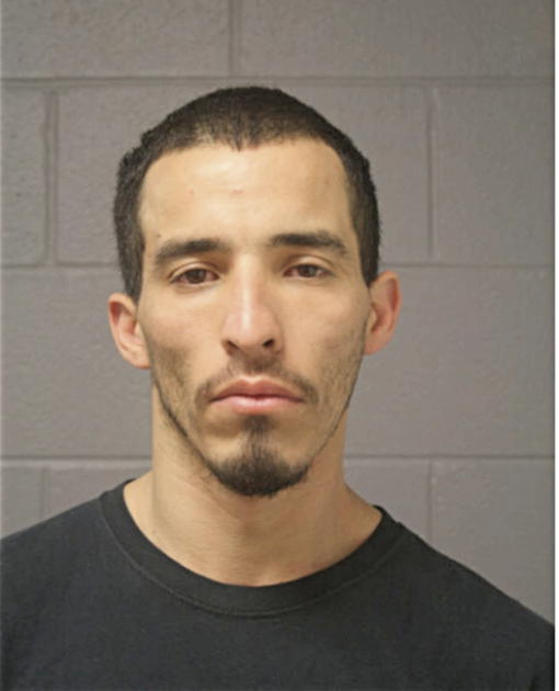 SALVADOR C ZAVALA, Cook County, Illinois
