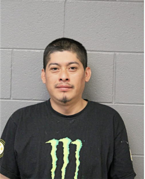 GUADALUPE ALVAREZ, Cook County, Illinois