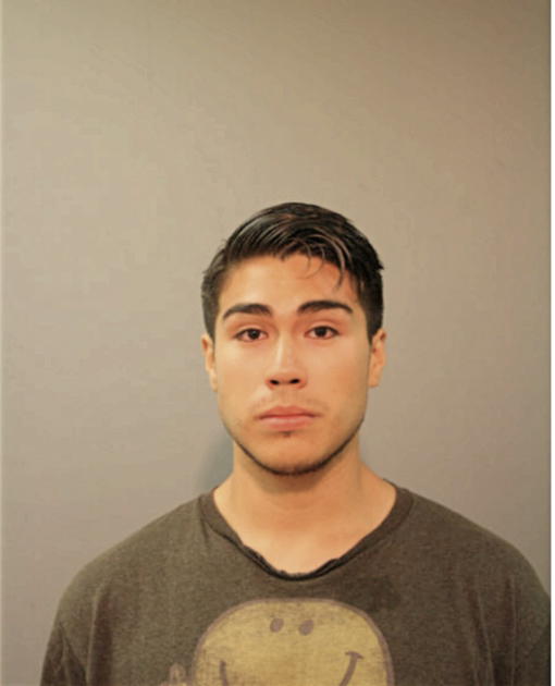 ANDREZ ARELLANO, Cook County, Illinois
