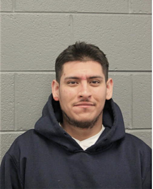 GUSTAVO ARIAS, Cook County, Illinois