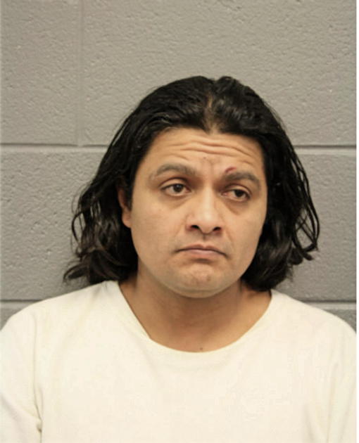 DANIEL N DE LUNA, Cook County, Illinois