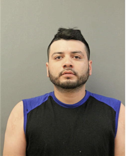 VICTOR O GARCIA, Cook County, Illinois