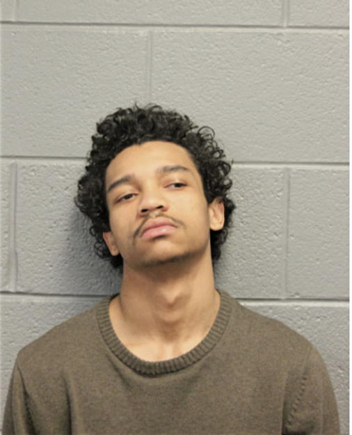 JEREMY D GARRIOTT, Cook County, Illinois