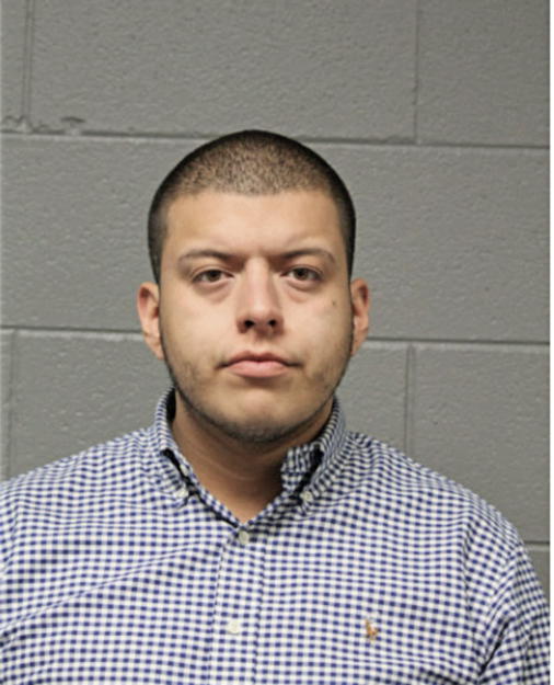 ANDREW L GONZALEZ, Cook County, Illinois