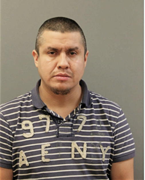 JOSE L GONZALEZ, Cook County, Illinois