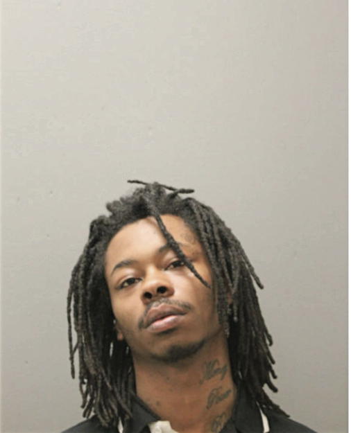DAVID D HAYES, Cook County, Illinois