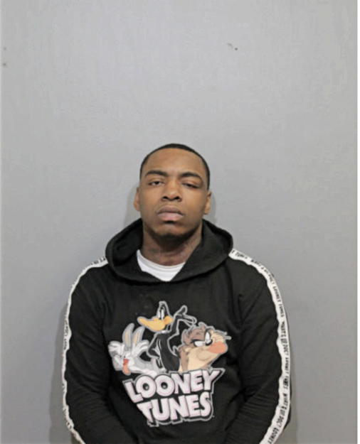 MICHAEL E HULEY, Cook County, Illinois