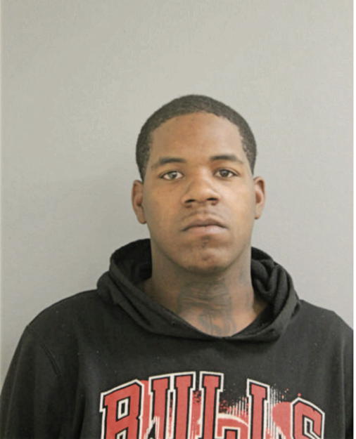 DEVON M LEE, Cook County, Illinois