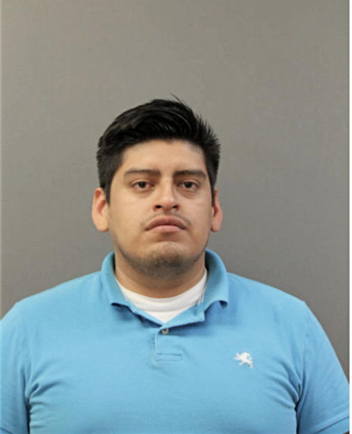 ALBERT JONATHAN LLIUISACA, Cook County, Illinois