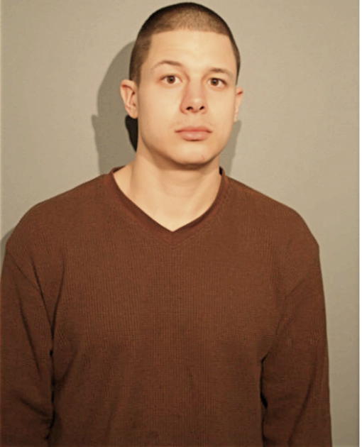 ROBERT D MANN, Cook County, Illinois