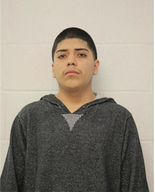 ANTONI SIERRA-FLORES, Cook County, Illinois