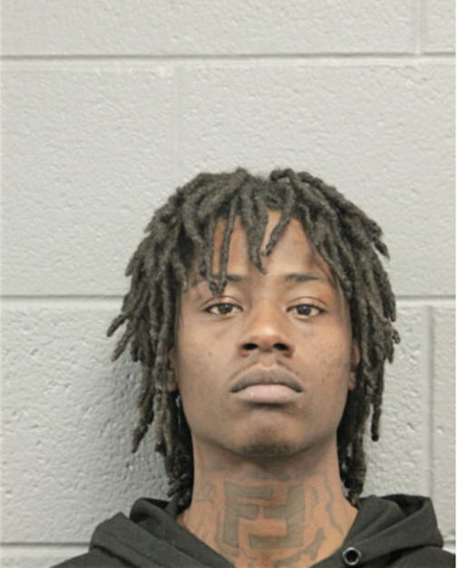 GREGORY L STEWART, Cook County, Illinois