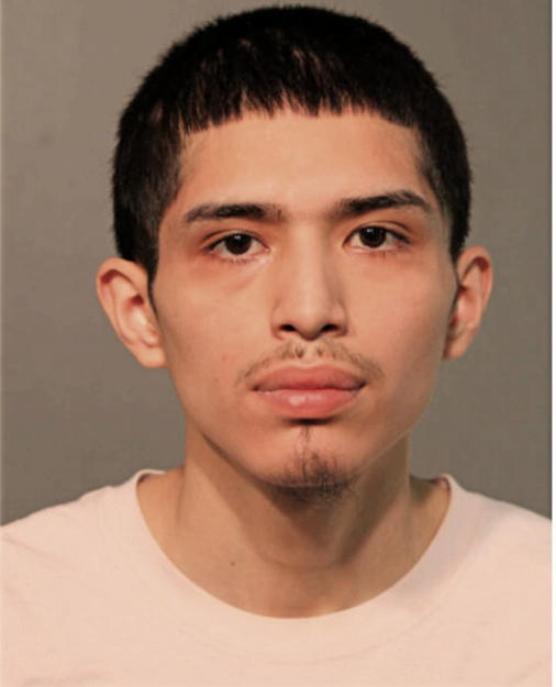 AMADEUS H VARGAS, Cook County, Illinois