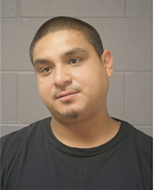 ALEXANDER VILLAMIL, Cook County, Illinois