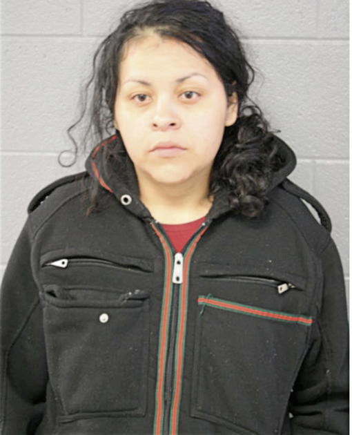 ANA M ALTAMIRANO, Cook County, Illinois