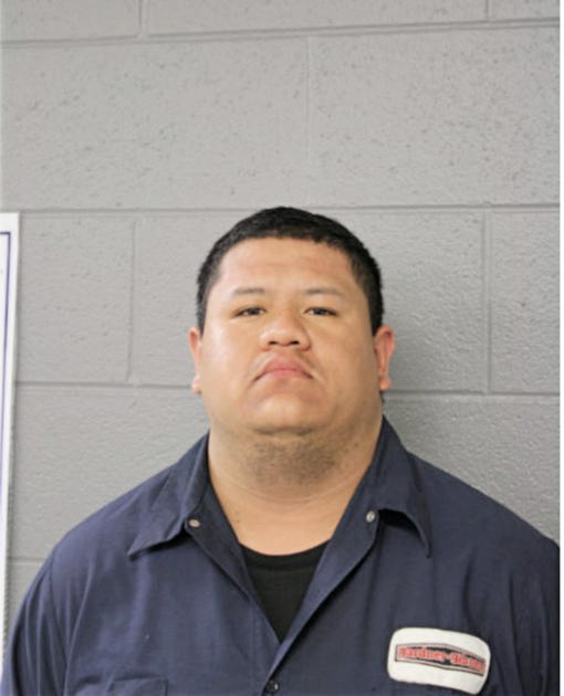 MARTIN ALVAREZ, Cook County, Illinois