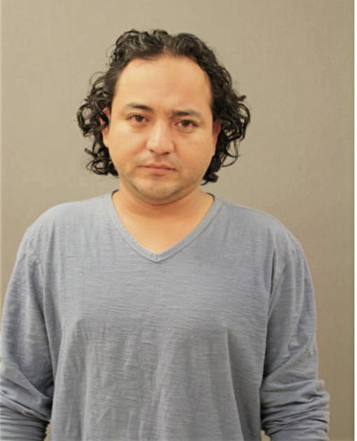 RAUL ANAYA, Cook County, Illinois