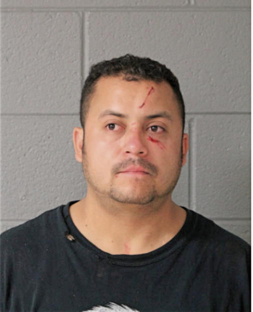 LUIS E ANGUIANO, Cook County, Illinois