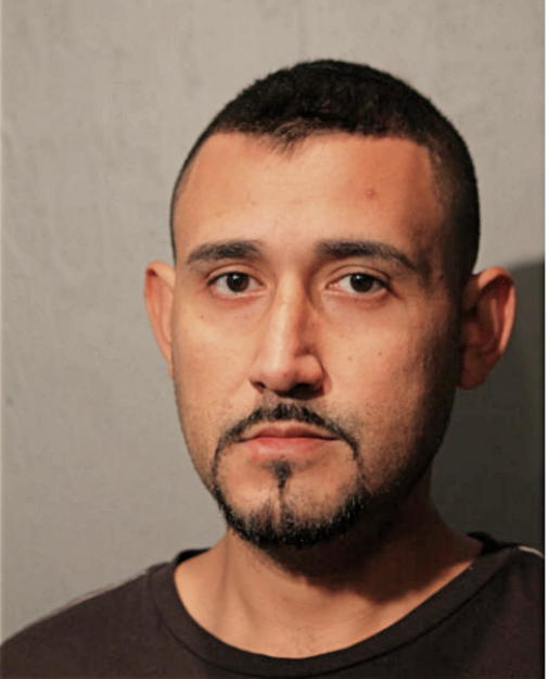 FERNANDO BAEZA, Cook County, Illinois