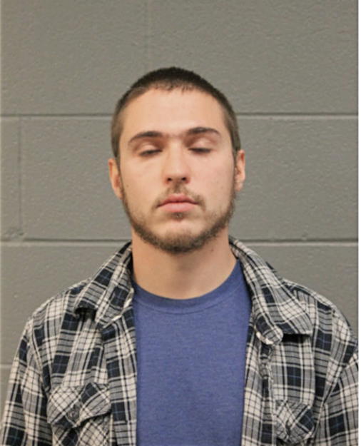 BRADLEY J BIRNEY, Cook County, Illinois