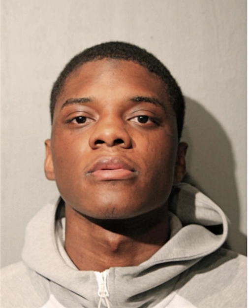 MICHAEL S BOYKIN, Cook County, Illinois