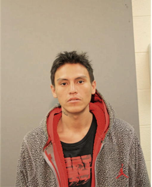 MARCO A DEJESUS, Cook County, Illinois