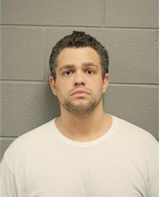 NIKKI M DONISI, Cook County, Illinois