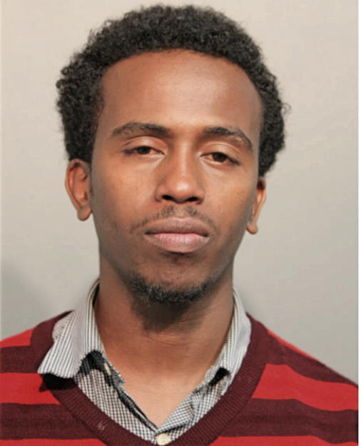 ABDIRIZAK ELMI, Cook County, Illinois