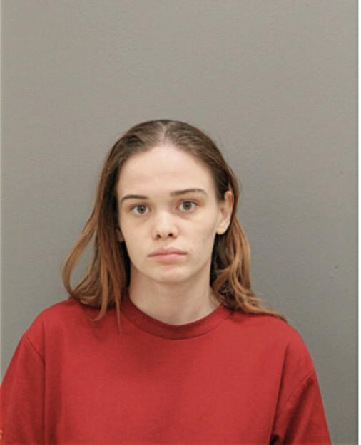 SHIANN L FALL, Cook County, Illinois