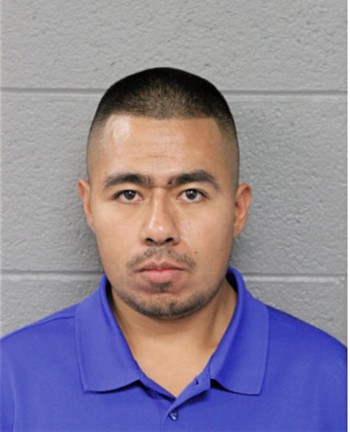 DAVIES GARCIA, Cook County, Illinois