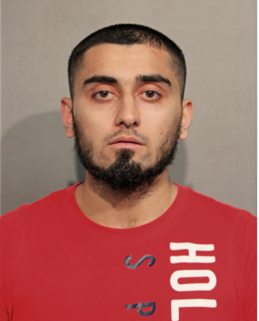 JAMEEL N GHOGHA, Cook County, Illinois