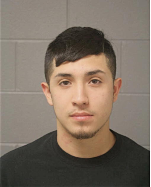 JONATHAN S GONZALEZ, Cook County, Illinois