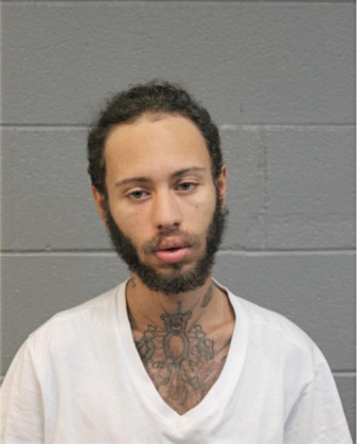 NICHOLAS J GRADY, Cook County, Illinois