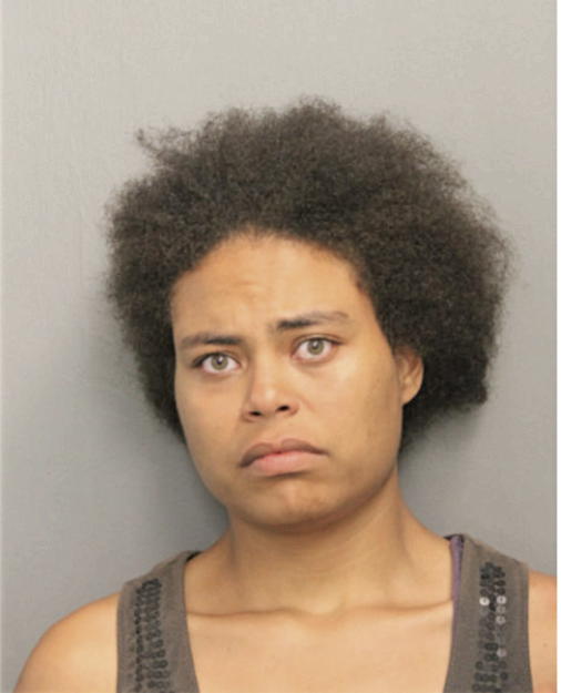 AMBER L HARPER, Cook County, Illinois