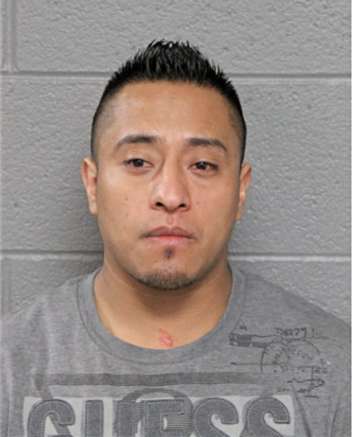 FERMIN A HERNANDEZ-LOPEZ, Cook County, Illinois