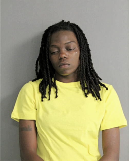 DANIELLE C JOHNSON, Cook County, Illinois