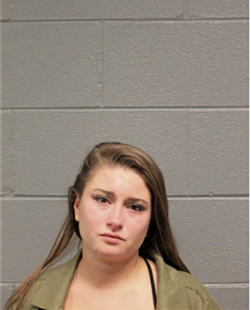 MEGAN C LAZAROFF, Cook County, Illinois