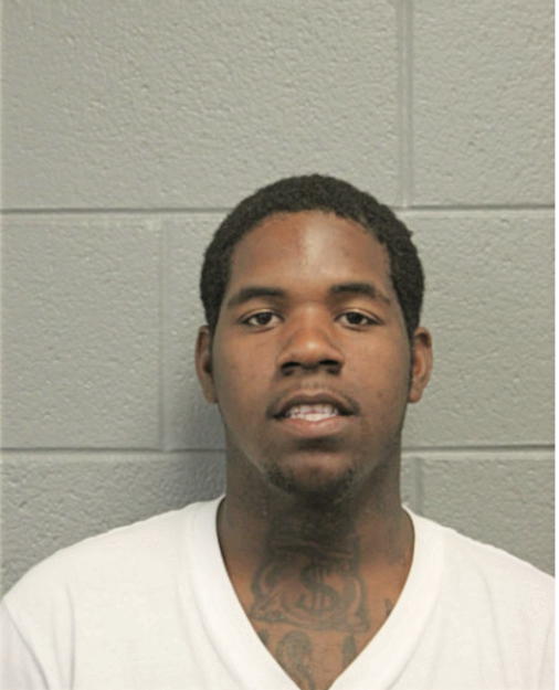 DEVON LEE, Cook County, Illinois